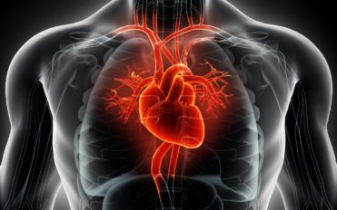 Heart rate